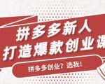 拼多多新人打造爆款创业课：快速引流持续出单，适用于所有新人-第一资源库