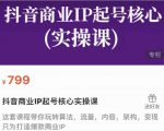 抖音商业IP起号核心实操课,带你玩转算法,流量,内容,架构,变现-第一资源库