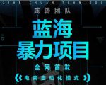 引流哥蓝海暴力躺赚项目：无需发圈无需引流无需售后，每单赚50-500（教程+线报群)-第一资源库