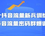 Peter抖音流量新兵训练营-破解抖音流量密码群爆训练营(新兵)-第一资源库