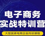 民赛电气内部出品：电子商务实战特训营，全方位带你入门电商，308种方式玩转电商-第一资源库