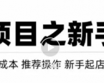 虚拟项目快速起店模式,0成本打造月入几万虚拟店铺!-第一资源库