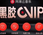 网易云音乐撸黑胶年卡及变现方法,收益可无限放大-第一资源库