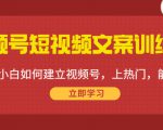 视频号短视频文案训练营:0基础小白如何建立视频号,上热门,能卖货!-第一资源库