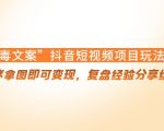 “毒文案”抖音短视频项目玩法，小程序拿图即可变现，复盘经验分享给大家-第一资源库