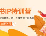 小红书IP特训营：从搭建-制作-爆款脚本等等，做一个赚钱的小红书号-第一资源库