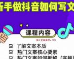 新手做抖音如何写文案，手把手实操如何拆解热门文案-第一资源库