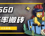 外面9800的CSGO汇率搬砖项目，一个月轻松赚几千【选品软件+详细教程】-第一资源库