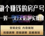 刘广标·同城房产号线上陪跑课，拍摄、剪辑、写文案、直播，做一个具有潜力价值的房产号-第一资源库
