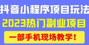 抖音小程序9.0新技巧，2023热门副业项目，动动手指轻松变现-第一资源库