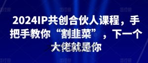 2024IP共创合伙人课程，手把手教你“割韭菜”，下一个大佬就是你-第一资源库