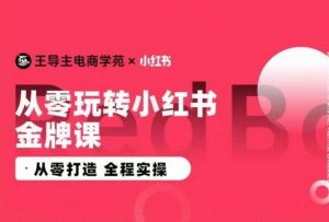 王导主·小红书电商运营实操课，​从零打造  全程实操-第一资源库