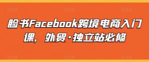 脸书Facebook跨境电商入门课，外贸·独立站必修-第一资源库