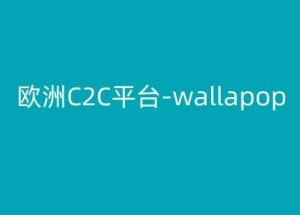 欧洲C2C平台-wallapop-kim跨境电商教程-第一资源库