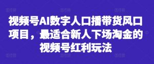 视频号AI数字人口播带货风口项目，最适合新人下场淘金的视频号红利玩法-第一资源库