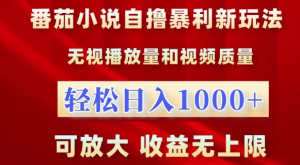 番茄小说自撸暴利新玩法，无视播放量，轻松日入1k，可放大，收益无上限【揭秘】-第一资源库
