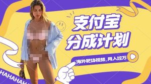 利用海外靶场射击视频，挣支付宝分成收益，轻松月入过W【揭秘】-第一资源库