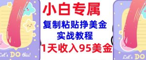 复制粘贴挣美金，0门槛，1天收入95美刀，3分钟学会，内部教程(首次公开)-第一资源库