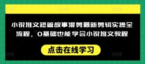 小说推文短篇故事混剪最新剪辑实操全流程，0基础也能学会小说推文教程，肯干多发日入多张-第一资源库