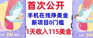 在线挣美金新项目,0门槛,1天收入115美刀,无脑操作,真正被动收入-第一资源库